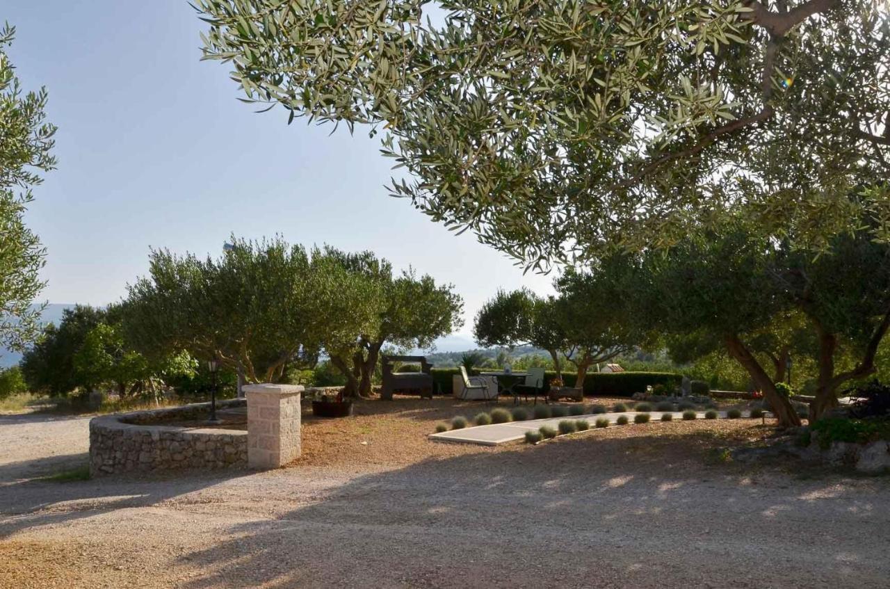 Villa Franka With Swimming Pool Bol Exteriér fotografie